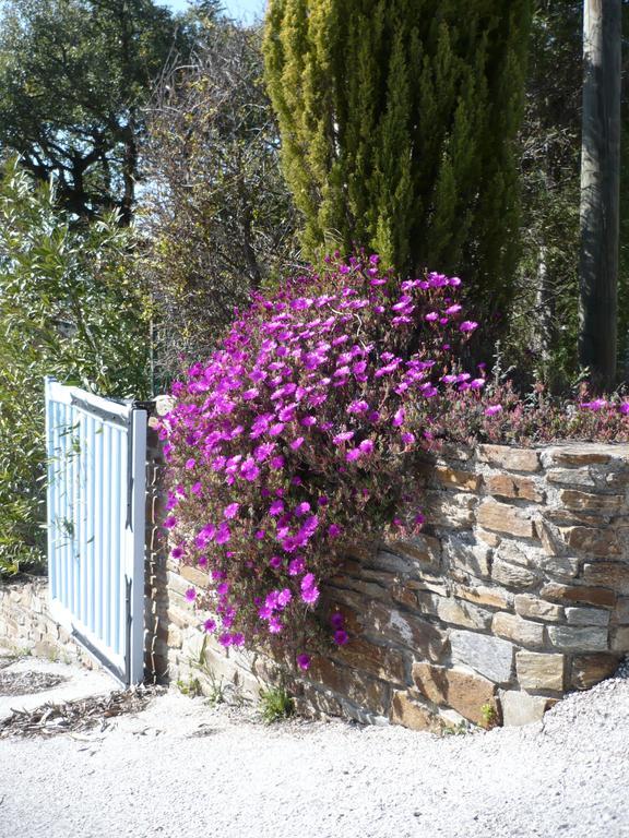 Merveille Bormes-les-Mimosas Exterior foto